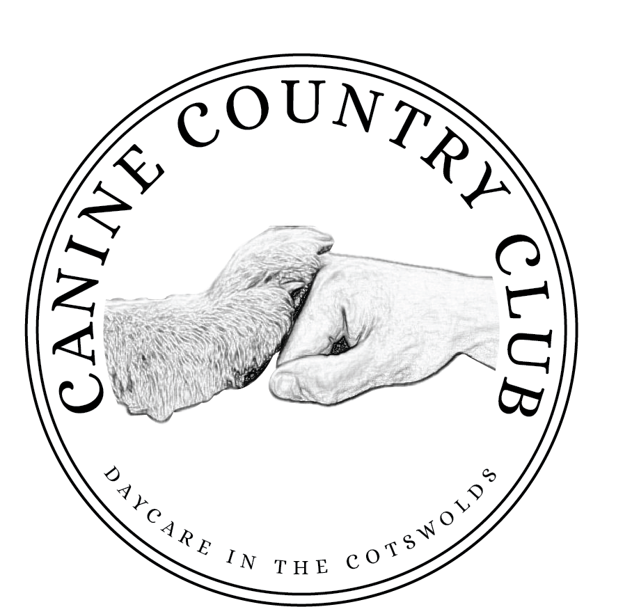 Canine Country Club logo